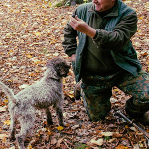 lov_na_tartufe_slo300x300